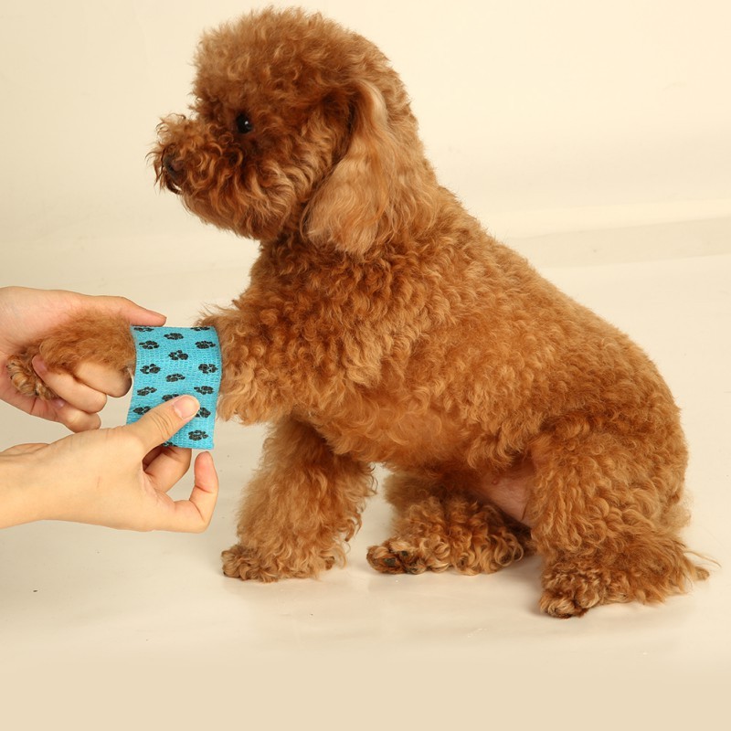 Vet Wrap Supplier Wholesale and Bulk Solutions Vet Wrap Supplier Wholesale and Bulk Solutions